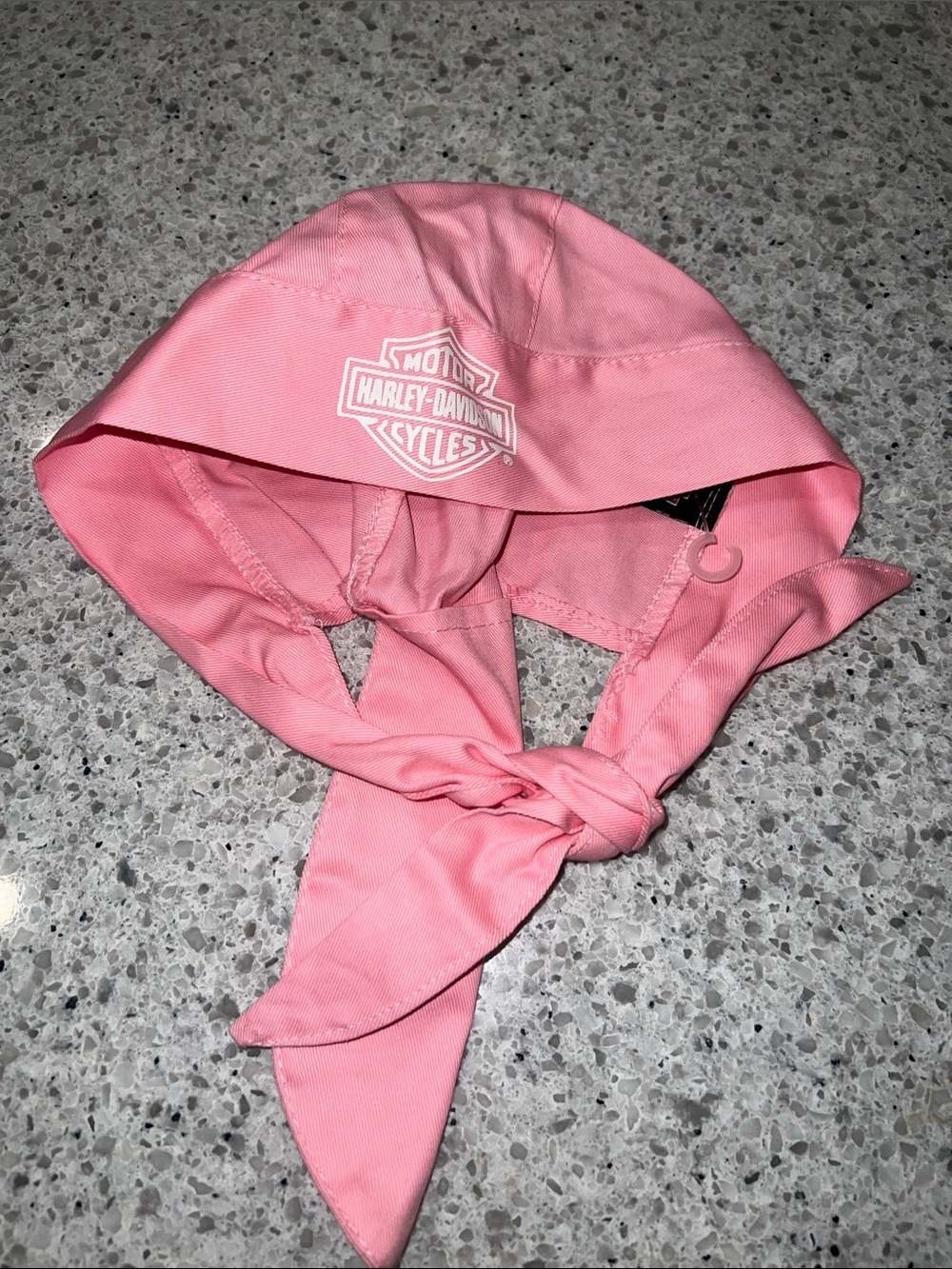 Harley Davison Skull Cap